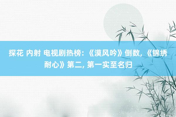 探花 内射 电视剧热榜: 《漠风吟》倒数， 《锦绣耐心》第二， 第一实至名归
