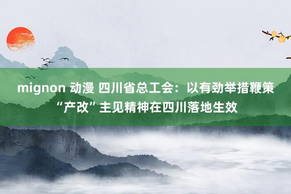 mignon 动漫 四川省总工会：以有劲举措鞭策“产改”主见精神在四川落地生效
