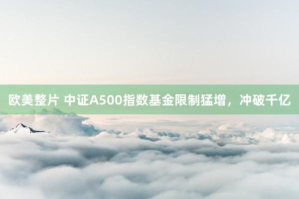欧美整片 中证A500指数基金限制猛增，冲破千亿