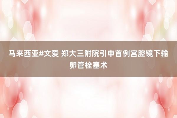 马来西亚#文爱 郑大三附院引申首例宫腔镜下输卵管栓塞术