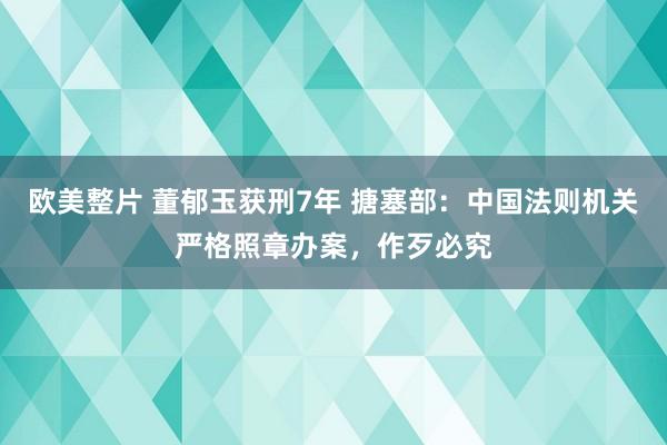 欧美整片 董郁玉获刑7年 搪塞部：中国法则机关严格照章办案，作歹必究