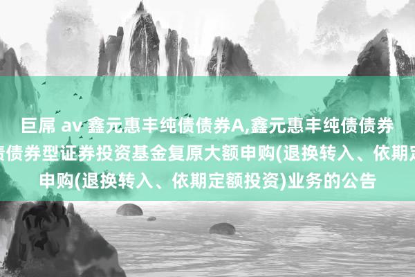 巨屌 av 鑫元惠丰纯债债券A,鑫元惠丰纯债债券C: 对于鑫元惠丰纯债债券型证券投资基金复原大额申购(退换转入、依期定额投资)业务的公告