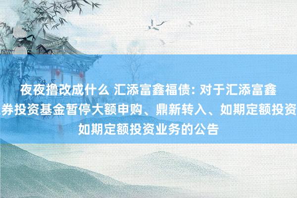 夜夜撸改成什么 汇添富鑫福债: 对于汇添富鑫福债券型证券投资基金暂停大额申购、鼎新转入、如期定额投资业务的公告