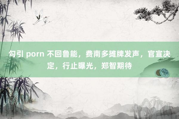 勾引 porn 不回鲁能，费南多摊牌发声，官宣决定，行止曝光，郑智期待