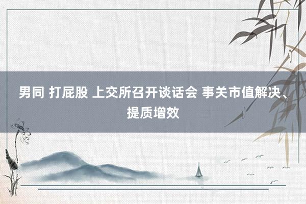 男同 打屁股 上交所召开谈话会 事关市值解决、提质增效