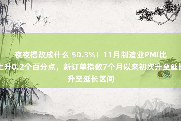 夜夜撸改成什么 50.3%！11月制造业PMI比上月上升0.2个百分点，新订单指数7个月以来初次升至延长区间