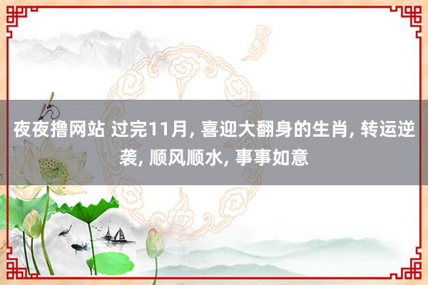 夜夜撸网站 过完11月， 喜迎大翻身的生肖， 转运逆袭， 顺风顺水， 事事如意