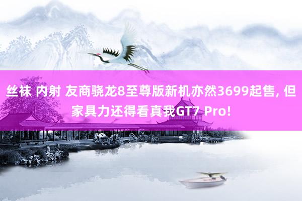 丝袜 内射 友商骁龙8至尊版新机亦然3699起售， 但家具力还得看真我GT7 Pro!