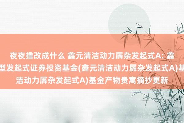 夜夜撸改成什么 鑫元清洁动力羼杂发起式A: 鑫元清洁动力产业羼杂型发起式证券投资基金(鑫元清洁动力羼杂发起式A)基金产物贵寓摘抄更新