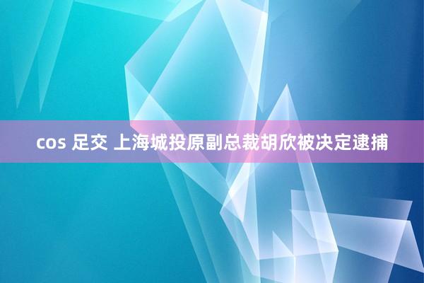 cos 足交 上海城投原副总裁胡欣被决定逮捕