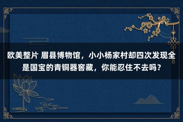 欧美整片 眉县博物馆，小小杨家村却四次发现全是国宝的青铜器窖藏，你能忍住不去吗？