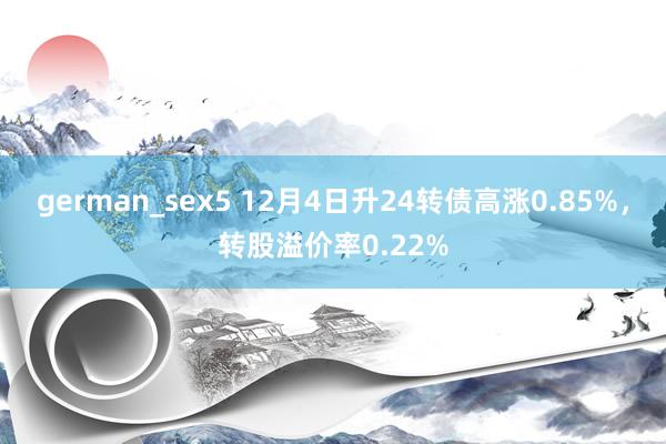 german_sex5 12月4日升24转债高涨0.85%，转股溢价率0.22%