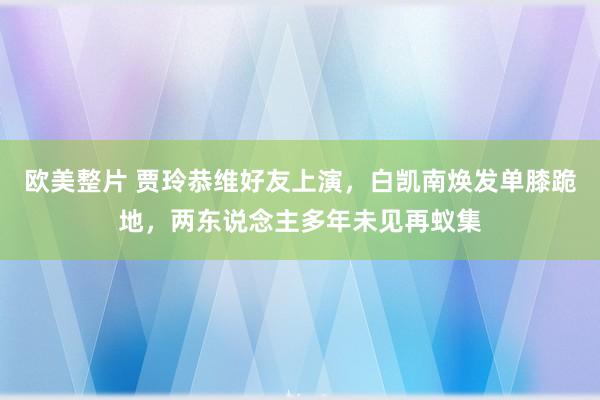 欧美整片 贾玲恭维好友上演，白凯南焕发单膝跪地，两东说念主多年未见再蚁集