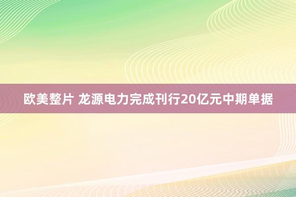 欧美整片 龙源电力完成刊行20亿元中期单据