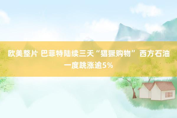 欧美整片 巴菲特陆续三天“猖獗购物” 西方石油一度跳涨逾5%