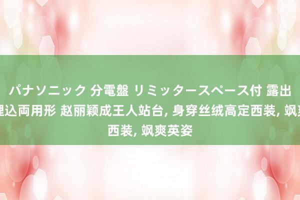 パナソニック 分電盤 リミッタースペース付 露出・半埋込両用形 赵丽颖成王人站台， 身穿丝绒高定西装， 飒爽英姿