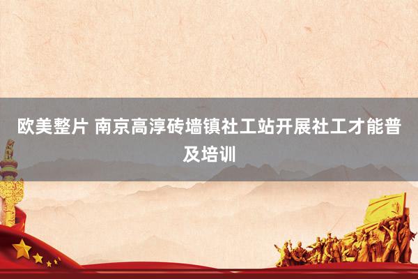 欧美整片 南京高淳砖墙镇社工站开展社工才能普及培训