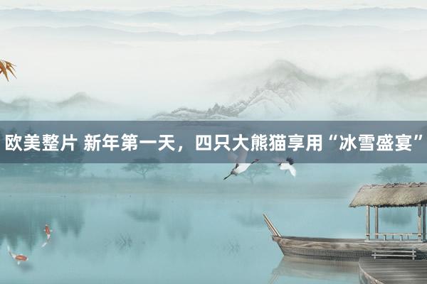 欧美整片 新年第一天，四只大熊猫享用“冰雪盛宴”