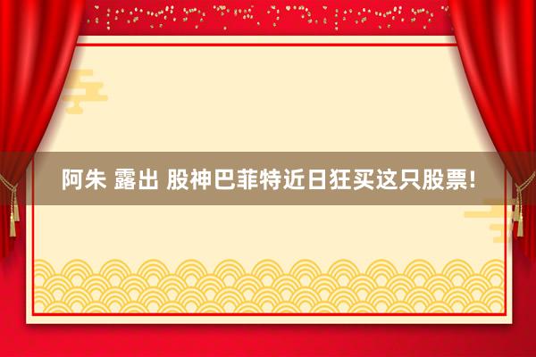 阿朱 露出 股神巴菲特近日狂买这只股票!