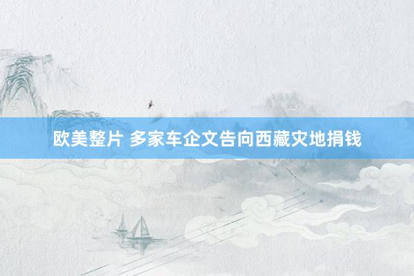 欧美整片 多家车企文告向西藏灾地捐钱