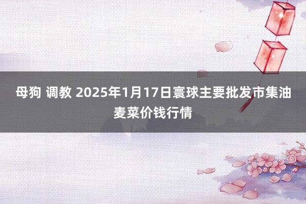 母狗 调教 2025年1月17日寰球主要批发市集油麦菜价钱行情