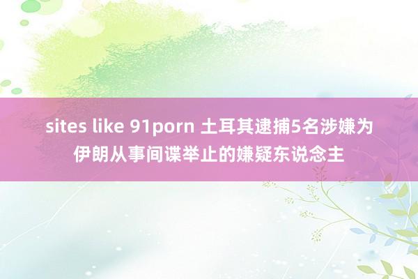 sites like 91porn 土耳其逮捕5名涉嫌为伊朗从事间谍举止的嫌疑东说念主