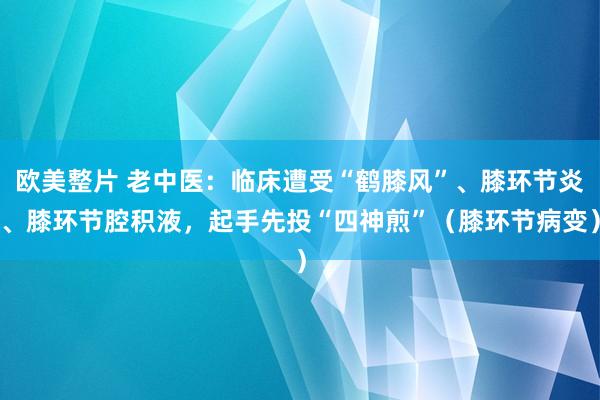欧美整片 老中医：临床遭受“鹤膝风”、膝环节炎、膝环节腔积液，起手先投“四神煎”（膝环节病变）