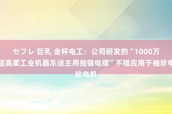 セフレ 巨乳 金杯电工：公司研发的“1000万次超高柔工业机器东谈主用拖链电缆”不错应用于袖珍电机