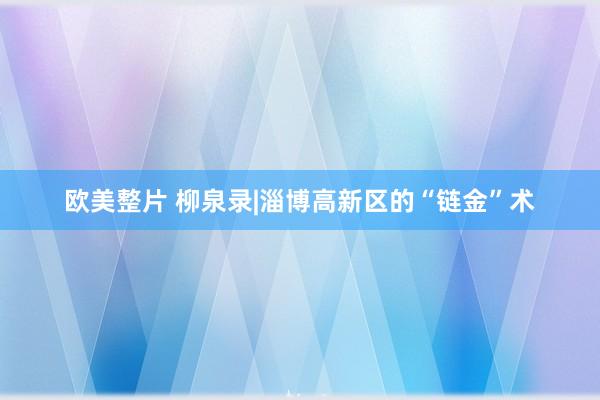 欧美整片 柳泉录|淄博高新区的“链金”术