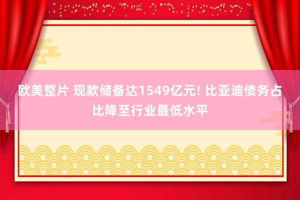 欧美整片 现款储备达1549亿元! 比亚迪债务占比降至行业最低水平
